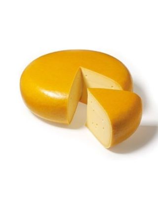 Gouda jeune